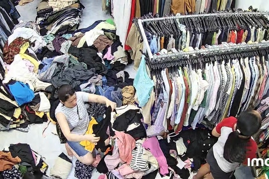 Gen Z Đà Nẵng mê “đồ bành” vì chất sống xanh