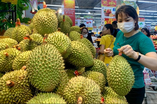 Giá sầu riêng hôm nay 18/7: Thị trường bình ổn quanh mức 20.000 - 95.000 đồng/kg