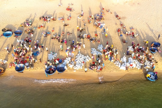 Nhộn nhịp chợ cá Bình Minh