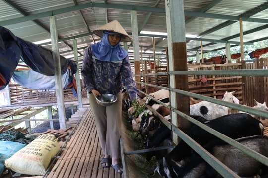 Hiệu quả kinh tế từ mô hình nông nghiệp tuần hoàn