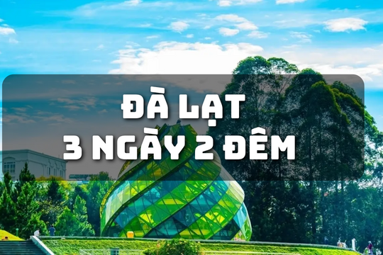 Thở cùng thông xanh, sống cùng khí hậu mát mẻ tại "Thành phố ngàn hoa"