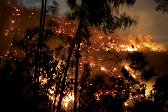 Duy Xuyên: Gần 100 người xuyên đêm khống chế vụ cháy rừng hơn 10ha