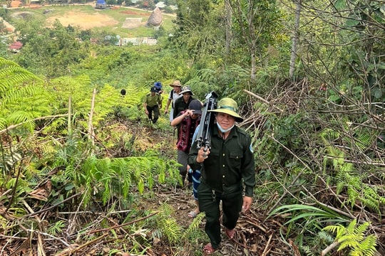 Đà Nẵng ứng dụng công nghệ trong quản lý tài nguyên rừng