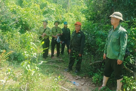 Chủ động quản lý, bảo vệ rừng