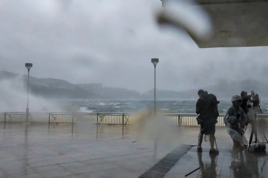 Cảnh báo Wipha đổ bộ: Gió giật cấp 15, mưa 600mm, Bắc Bộ "nín thở" chờ bão