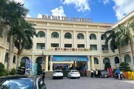 Điểm chuẩn Trường Đại học Nam Cần Thơ 2025