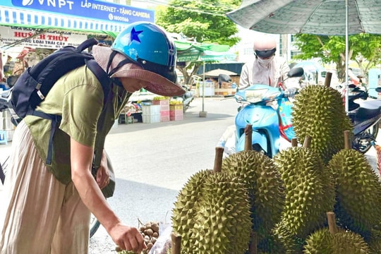 Giá sầu riêng hôm nay 21/7: Sầu Thái tiếp chuỗi tăng, Ri6 vẫn giảm