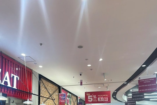 Bão Wipha và bài học "vàng" từ kinh nghiệm chống chọi bão Yagi