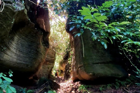 Hang Doi (Bat Cave) receives municipal relic certificate