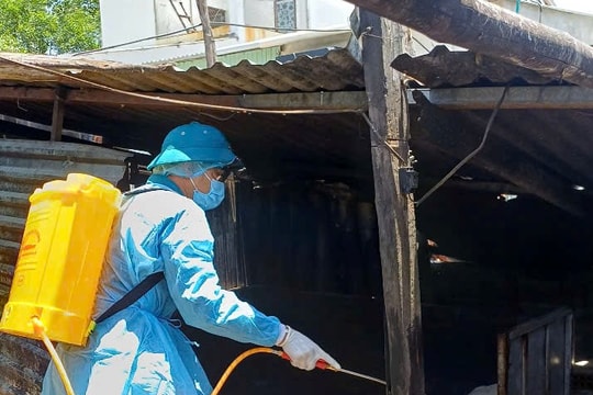 Xã Thăng An khẩn trương phòng dịch tả lợn châu Phi