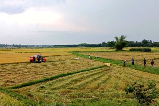 Mở hướng xây dựng nông thôn mới hiện đại