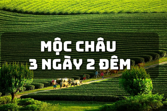 Tour Mộc Châu Mai Châu: Trải nghiệm viên ngọc Tây Bắc, đồi chè Trái tim