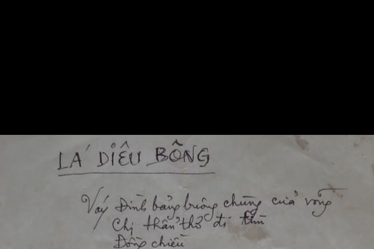 Điều thú vị của ba ca khúc về... một chiếc lá