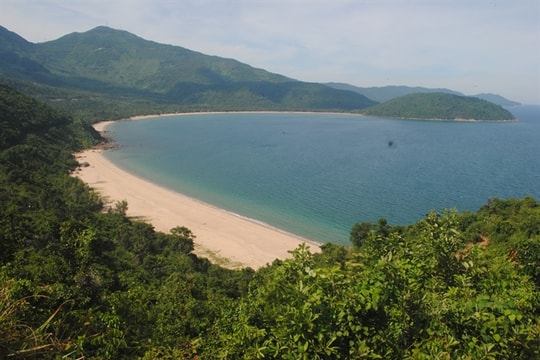 Five land areas assigned in Da Nang Free Trade Zone