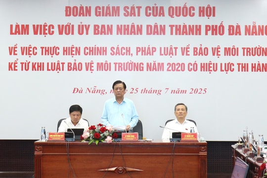 Đà Nẵng tiếp tục xây dựng thành phố môi trường, phát triển xanh