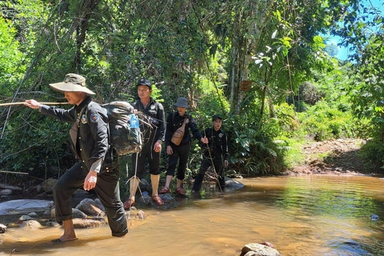 Phát huy giá trị đa dụng của rừng