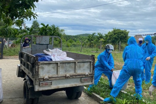 Khẩn trương triển khai quyết liệt, đồng bộ giải pháp phòng chống bệnh dịch tả lợn châu Phi