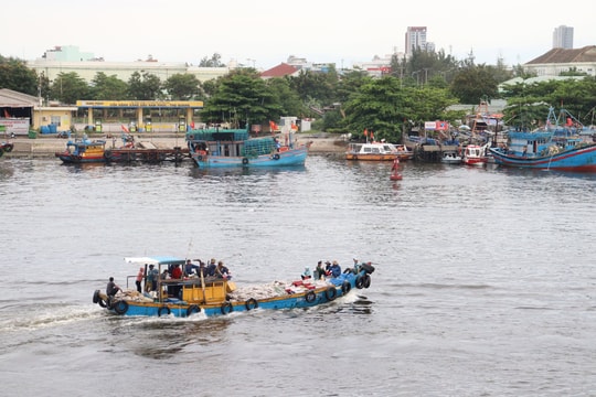 Chung tay gỡ “thẻ vàng” thủy sản