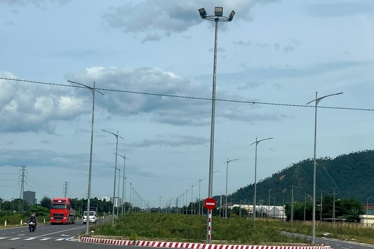 Cỏ mọc um tùm trên nhiều tuyến đường nội thị