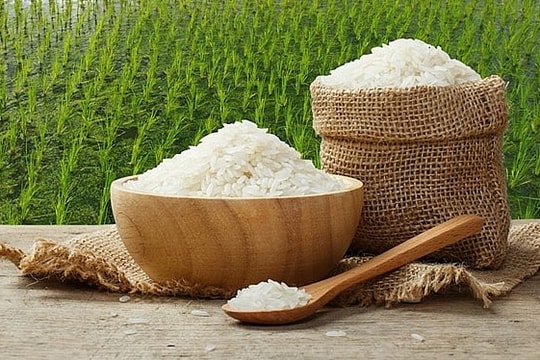 Giá lúa gạo hôm nay 28/7: Thị trường ổn định, giao dịch trầm lắng
