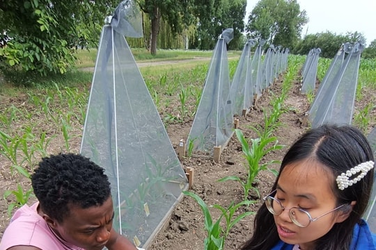 Da Nang student with desire to contribute to agricultural development in homeland