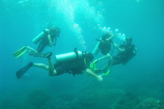 Khám phá “thế giới biển” Cù Lao Chàm