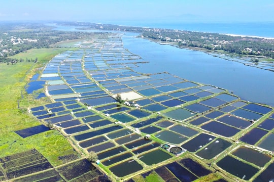 Phản ánh hơi thở cuộc sống