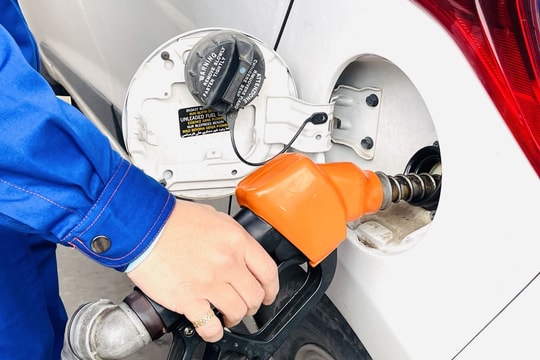 Giá xăng dầu hôm nay 01/08: Xăng tăng nhẹ, dầu thế giới giảm