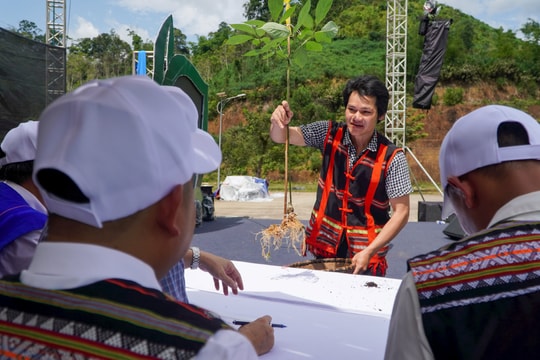 Độc đáo hội thi sâm Ngọc Linh