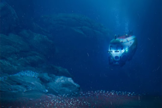 Hệ sinh vật ăn hóa chất ở đáy sâu Thái Bình Dương: Thách thức hiểu biết về sự sống