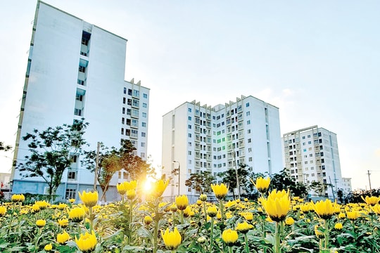 “Gieo mầm” ứng xử đẹp từ không gian thang máy