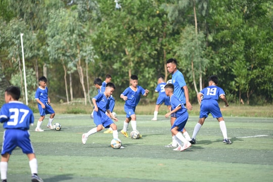 Câu lạc bộ Quảng Nam rút khỏi V-League, cầu thủ trẻ về đâu?