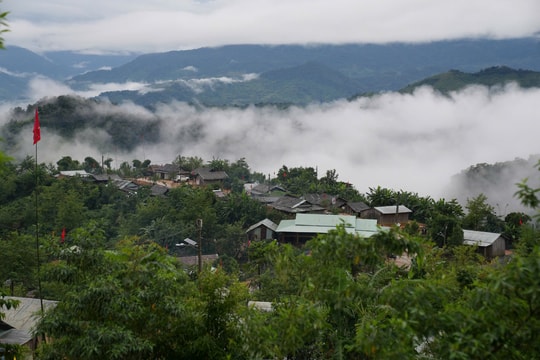 Trải nghiệm huyền thoại sâm Ngọc Linh trên đất Trà Tập