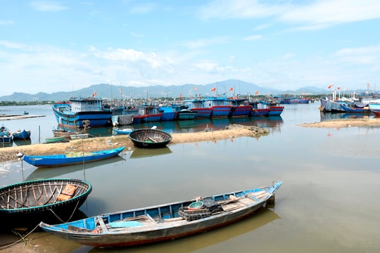 Khẩn trương hoàn thành chuỗi liên hoàn hậu cần nghề cá