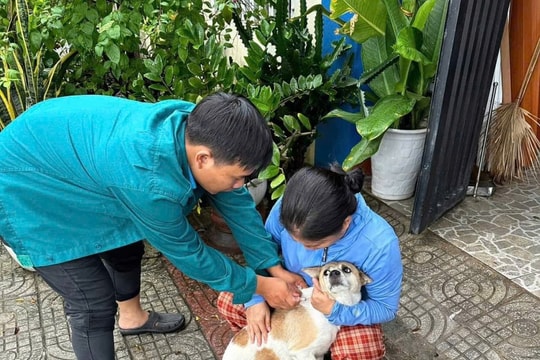 Cảnh báo gia tăng bệnh dại