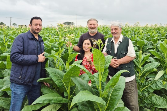 Sống an lành ở không gian dược liệu Gò Nổi