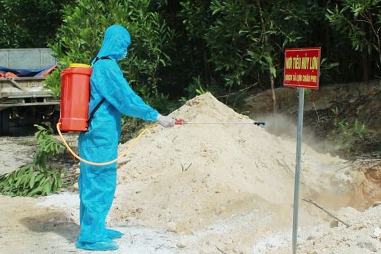 Các địa phương triển khai biện pháp khống chế bệnh dịch tả lợn châu Phi
