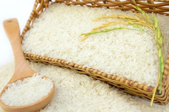 Giá lúa gạo hôm nay 6/8: Thị trường trầm lắng