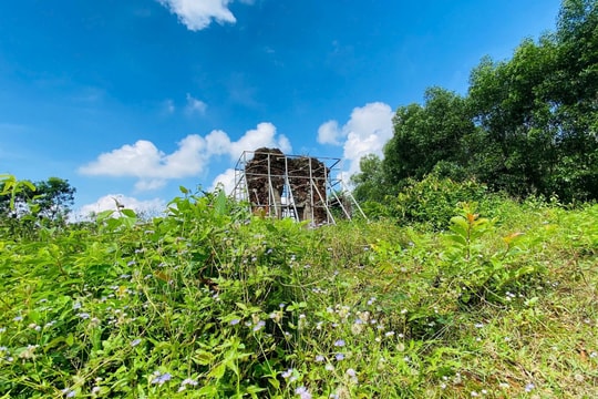 Sớm đầu tư bảo tồn, khôi phục di tích Phật viện Đồng Dương