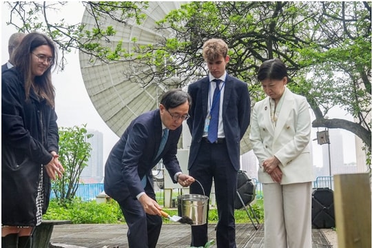 Những cây xanh bất tử ở Hiroshima