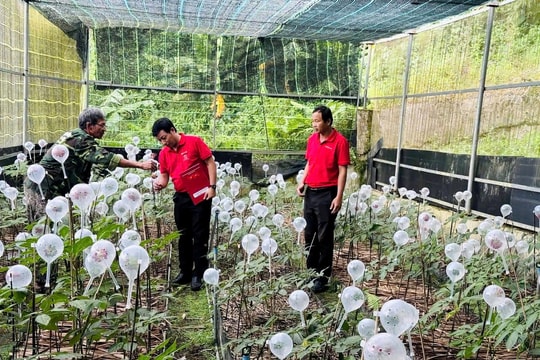 Cấp thiết đẩy vốn vào nền kinh tế