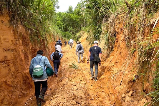 Xã Phước Trà khảo sát, nghiên cứu đề xuất đầu tư tuyến giao thông kết nối liên vùng