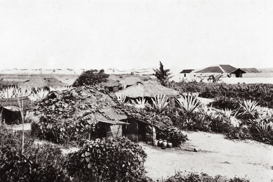 Ký ức mái nhà miền biển