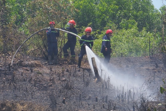 Khẩn trương dập tắt đám cháy gần Trung tâm hỏa táng An Phước Viên