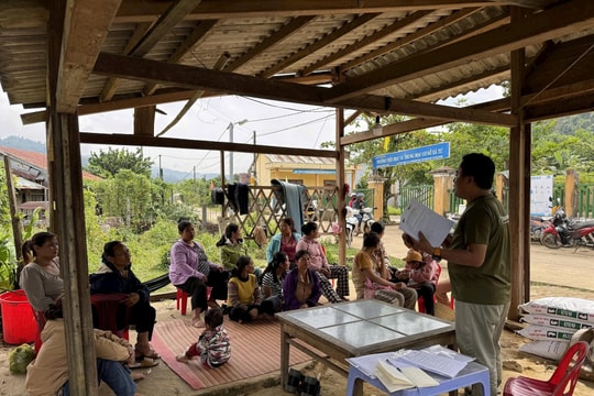 Đa dạng hóa mô hình sinh kế dưới tán rừng