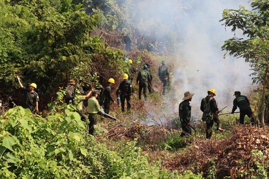 Chủ động phòng, chống cháy rừng mùa nắng nóng