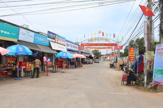 Xã đảo Tam Hải phấn đấu đạt chuẩn nông thôn mới nâng cao