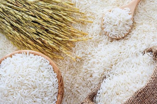 Giá lúa gạo hôm nay 11/8: Xuất khẩu vững, nội địa lặng sóng