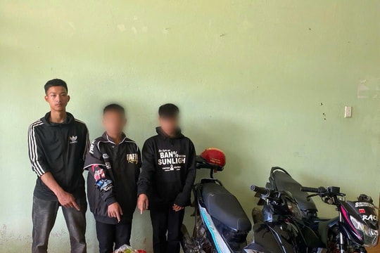 Truy “nóng” nhóm trộm cắp sâm Ngọc Linh