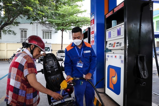 Giá xăng dầu hôm nay 12/8: Thị trường ổn định